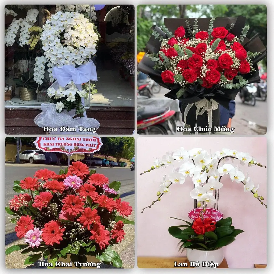 Tư vấn chọn hoa theo từng dịp tại Phú Thứ, Tây Hoà