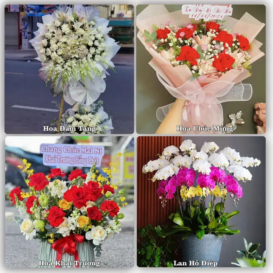 Shop hoa tươi Phù Yên – Nhận giao hoa trong ngày