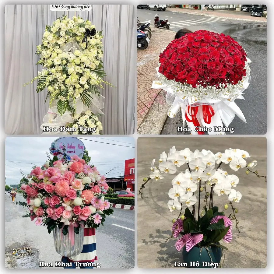 Mẫu hoa tươi dành cho khách đặt hoa tại Phúc Thọ