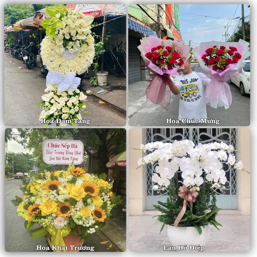 Dịch vụ đặt hoa online giao tận nơi tại Phùng, Đan Phượng