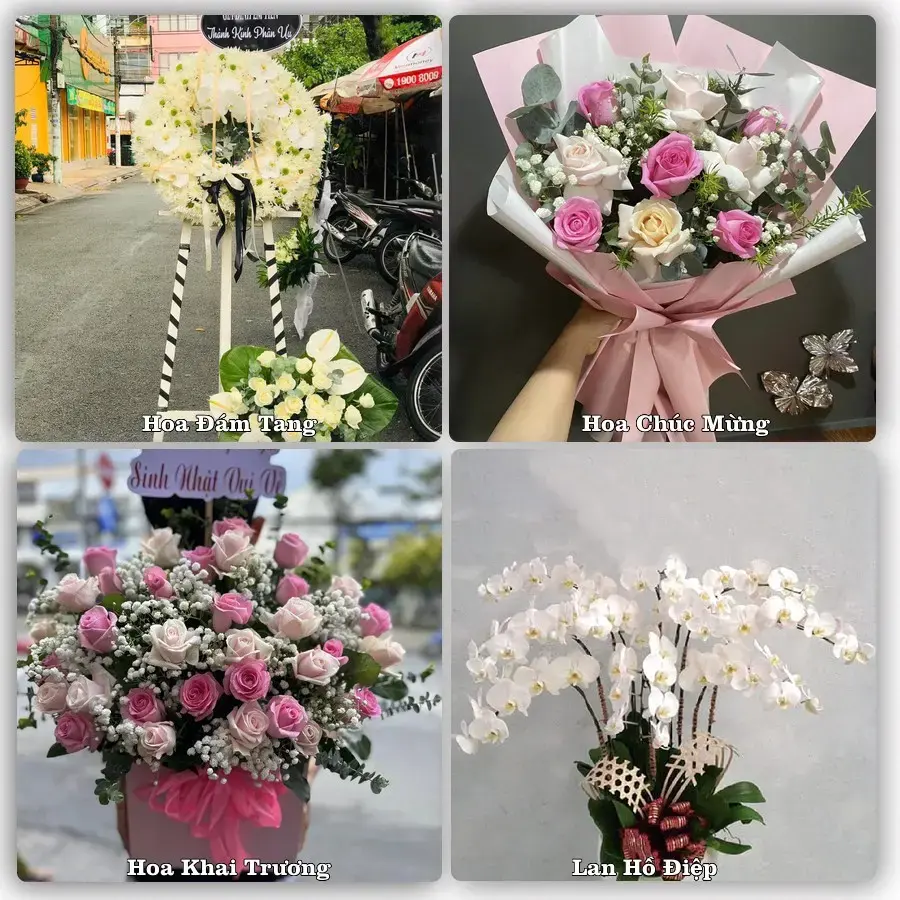 Shop hoa tươi Phước Dân, Ninh Phước – Có hình trước và sau giao