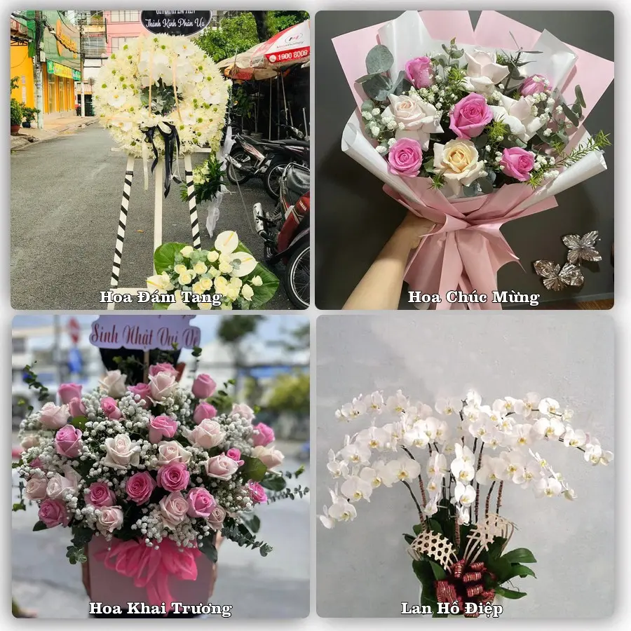 Mẫu hoa tươi dành cho khách đặt hoa tại Phước Dân, Ninh Phước