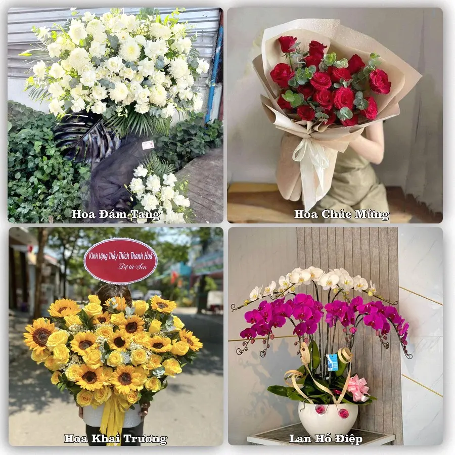 Tư vấn chọn hoa theo từng dịp tại Phước Dân, Ninh Phước