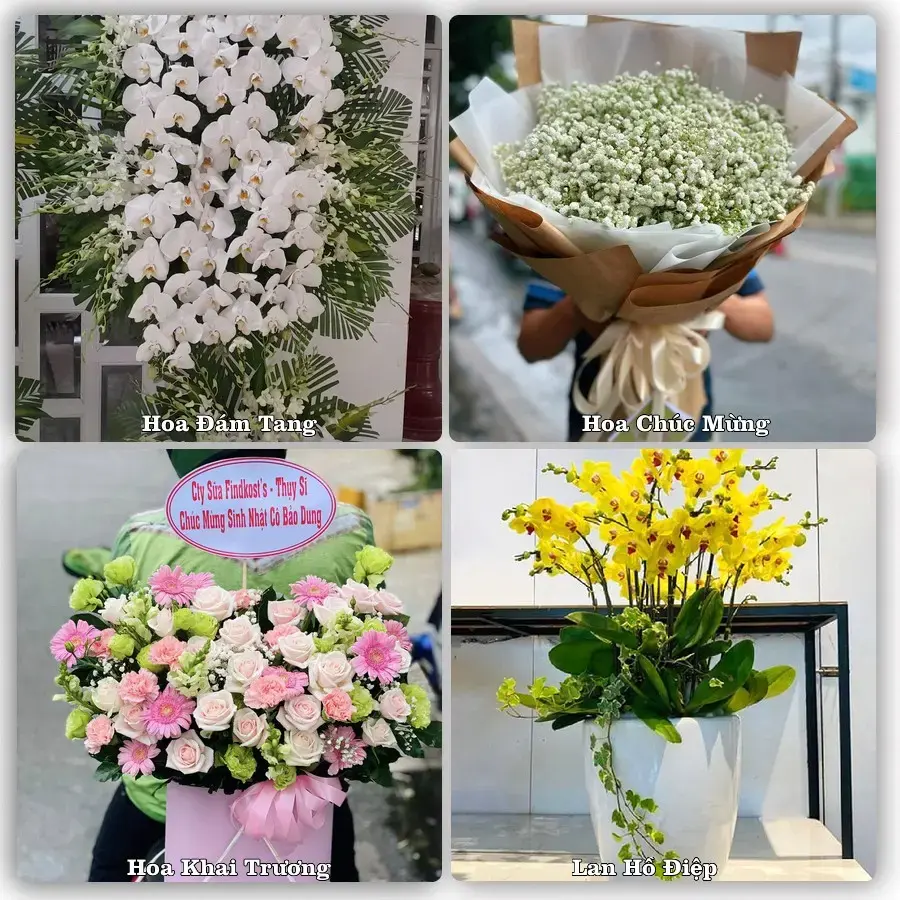Dịch vụ đặt hoa online giao tận nơi tại Phước Dân, Ninh Phước