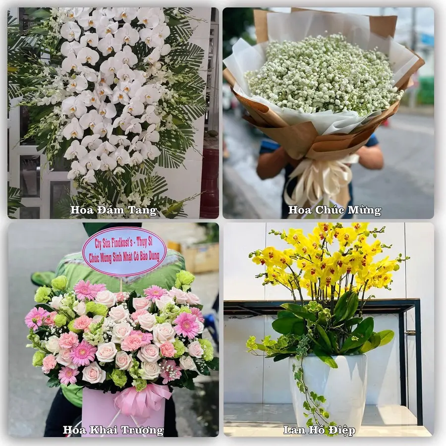 Dịch vụ đặt hoa online giao tận nơi tại Phước Dân, Ninh Phước