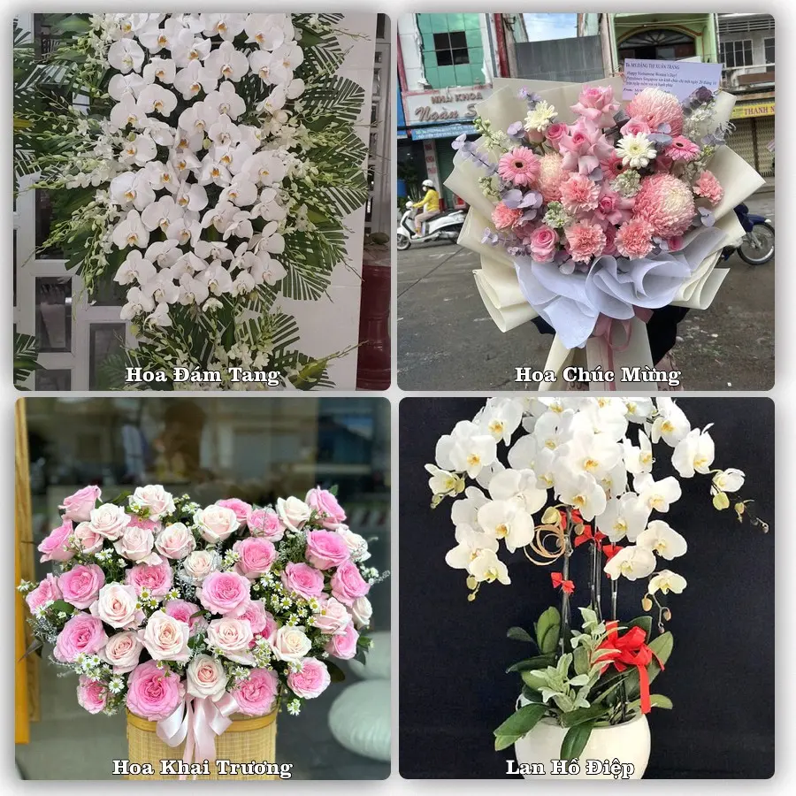 Mẫu hoa tươi dành cho khách đặt hoa tại Phương Sơn, Lục Nam