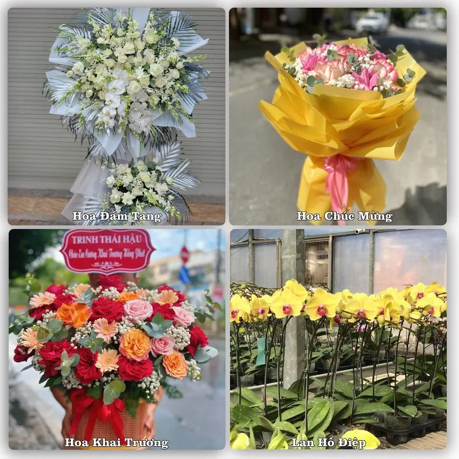 Tư vấn chọn hoa theo từng dịp tại Phương Sơn, Lục Nam