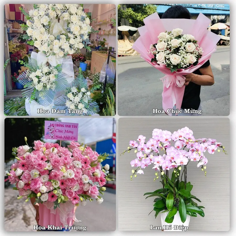 Mẫu hoa tươi dành cho khách đặt hoa tại Quán Hàu, Quảng Ninh