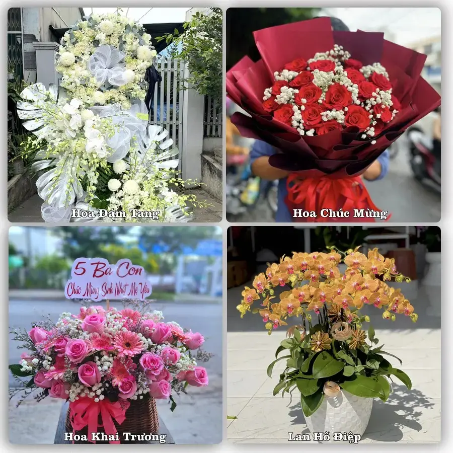 Tư vấn chọn hoa theo từng dịp tại Quán Lào, Yên Định