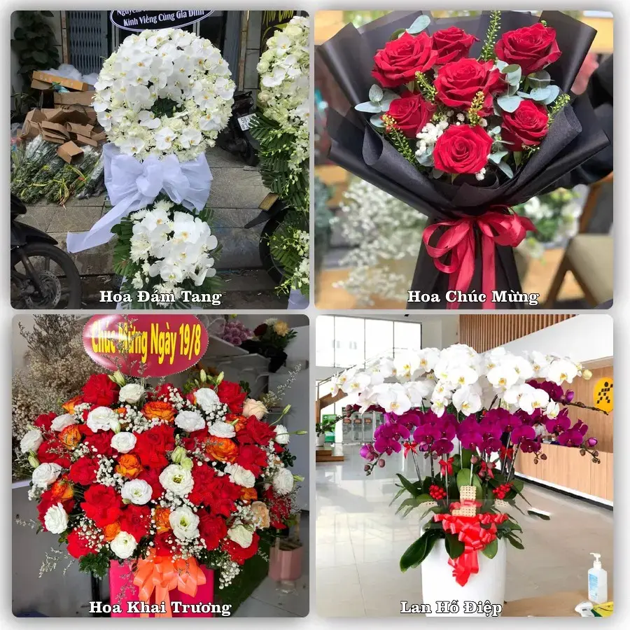 Shop hoa tươi Quảng Hà, Hải Hà – Đặt online, giao tận nơi