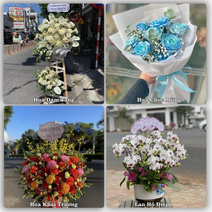 Tư vấn chọn hoa theo từng dịp tại Quảng Hà, Hải Hà
