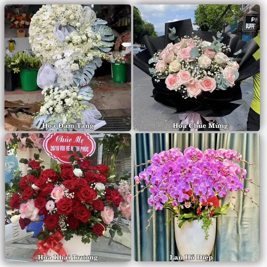 Tư vấn chọn hoa theo từng dịp tại Quảng Uyên, Quảng Hòa