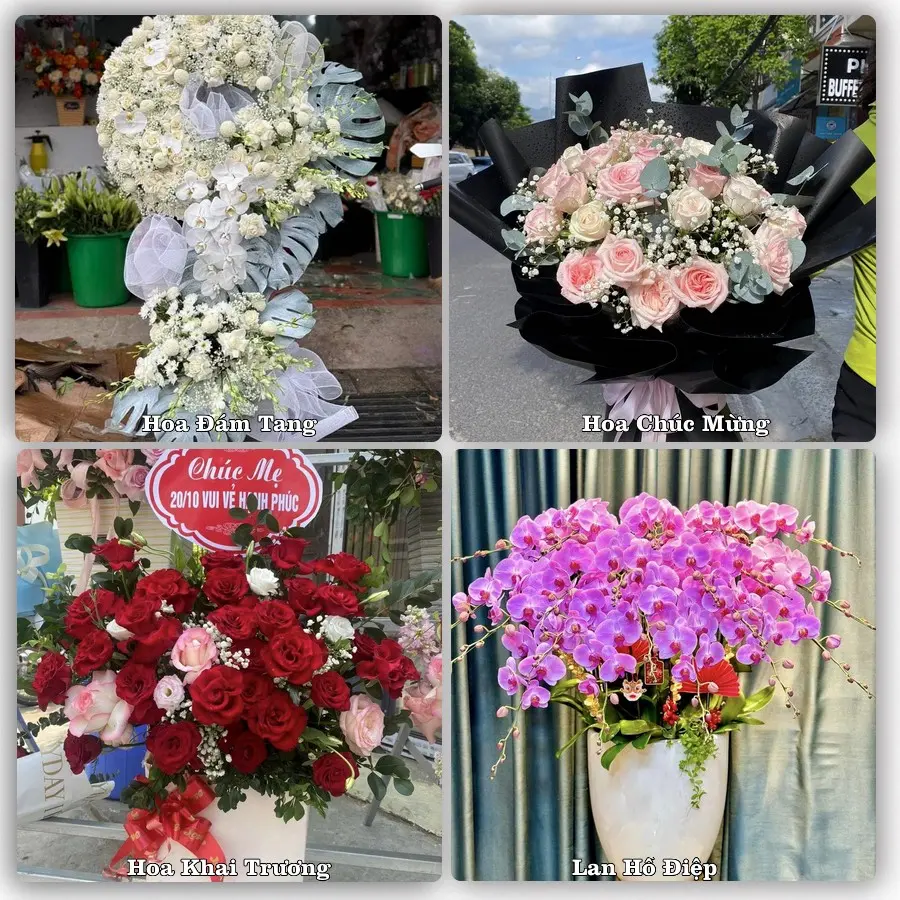 Tư vấn chọn hoa theo từng dịp tại Quảng Uyên, Quảng Hòa