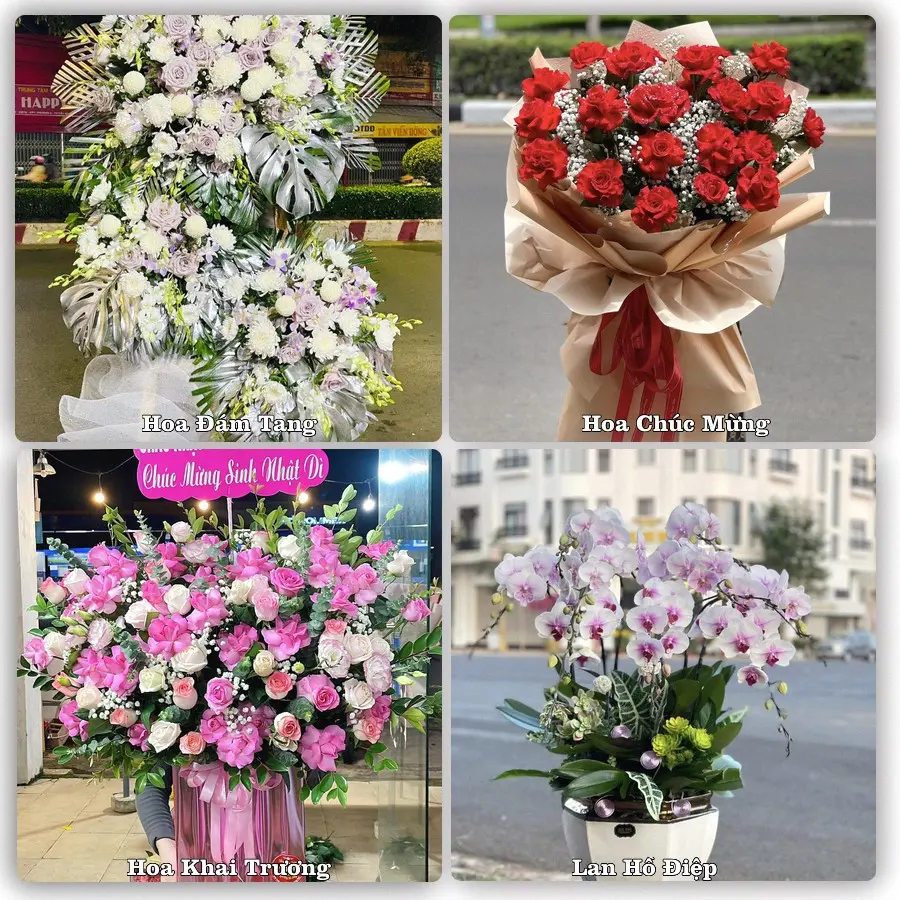 Mẫu hoa tươi dành cho khách đặt hoa tại Quất Lâm, Giao Thủy