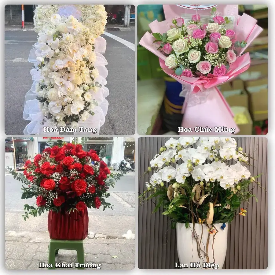 Tư vấn chọn hoa theo từng dịp tại Quế, Kim Bảng