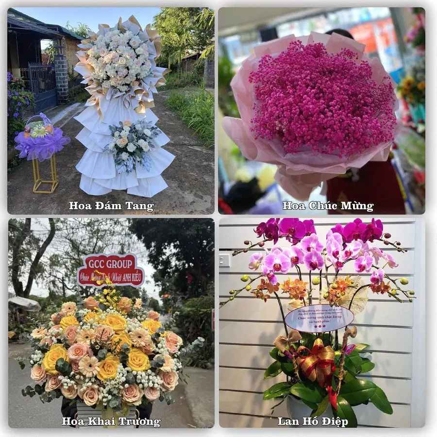 Mẫu hoa tươi dành cho khách đặt hoa tại Quy Đạt, Minh Hóa