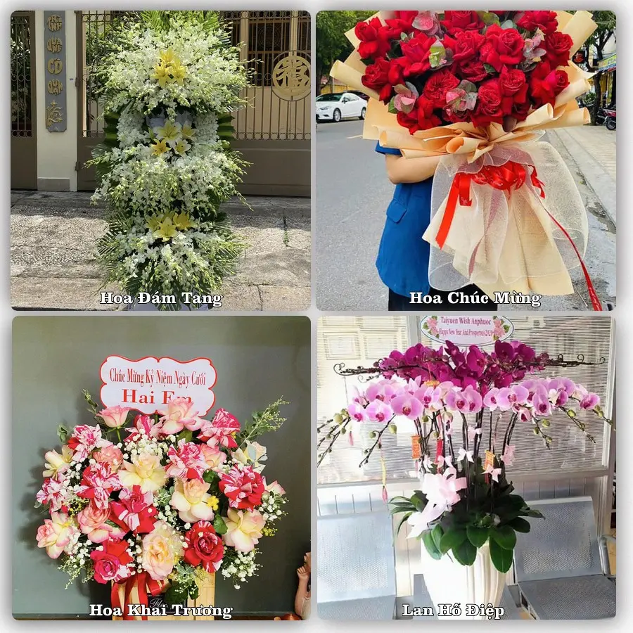 Tư vấn chọn hoa theo từng dịp tại Quy Đạt, Minh Hóa