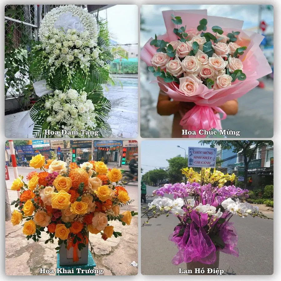 Mẫu hoa tươi dành cho khách đặt hoa tại Quỳ Hợp