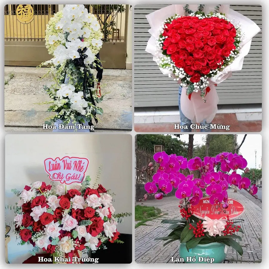 Tư vấn chọn hoa theo từng dịp tại Quỳ Hợp