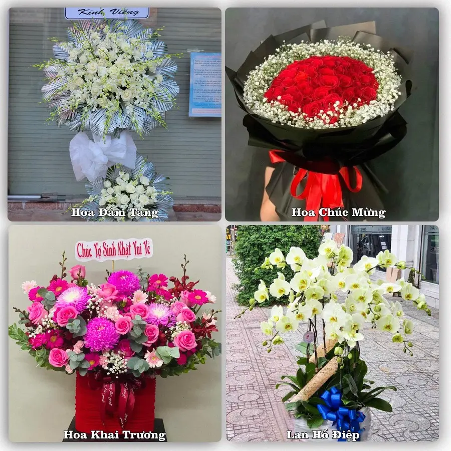 Mẫu hoa tươi dành cho khách đặt hoa tại Quỳnh Côi, Quỳnh Phụ