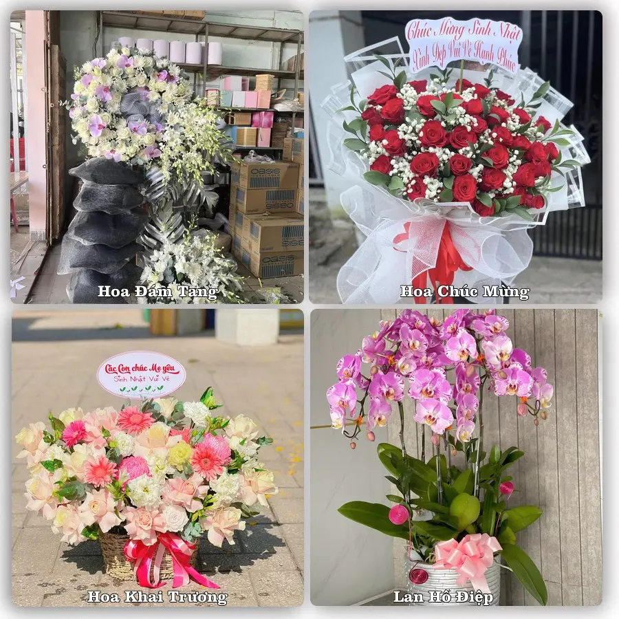 Tư vấn chọn hoa theo từng dịp tại Quỳnh Côi, Quỳnh Phụ