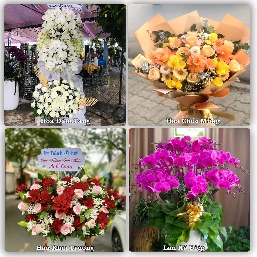 Tư vấn chọn hoa theo từng dịp tại Rừng Thông, Đông Sơn
