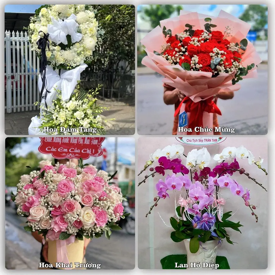 Đặt hoa giao tận nơi khu An Biên, Hải Phòng