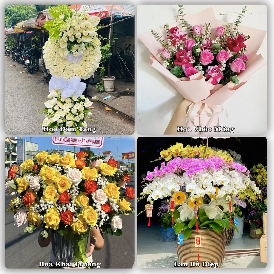 Mẫu hoa tươi giao tại An Biên, Hải Phòng
