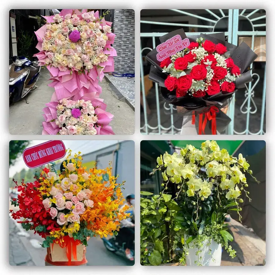 Mẫu hoa tươi tại An Điền