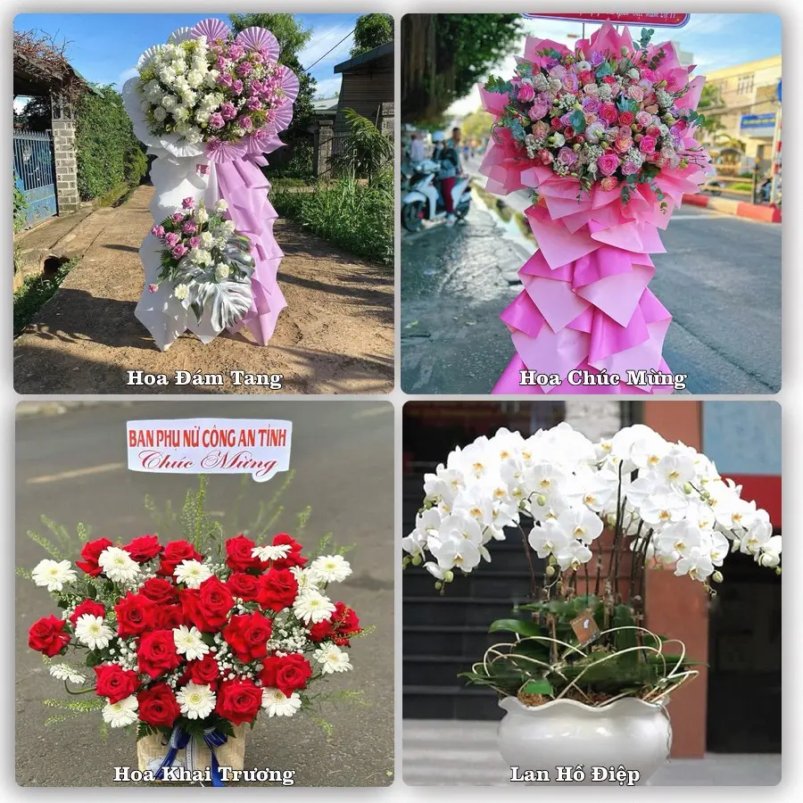 Đặt hoa giao tận nơi khu An Dương, Hải Phòng