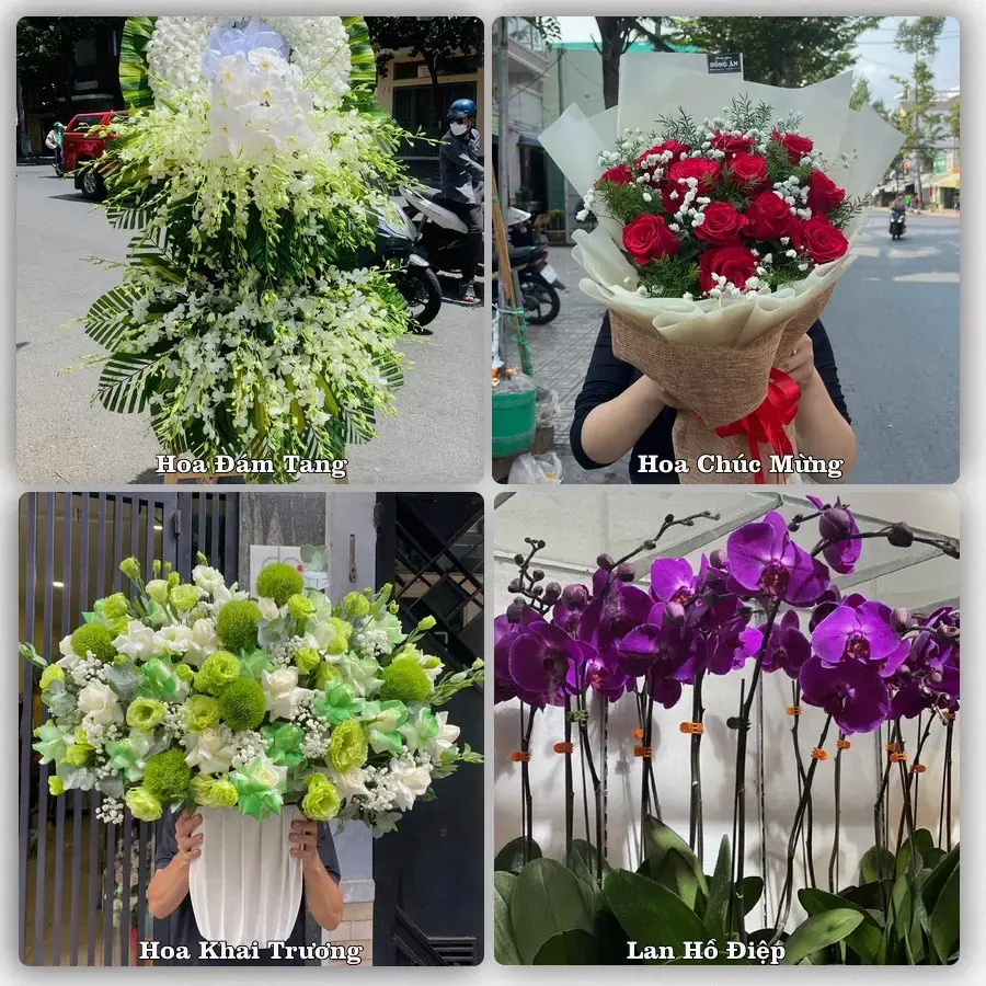 Shop hoa tươi An Dương, Hải Phòng – đặt hoa theo dịp, giao tận nơi