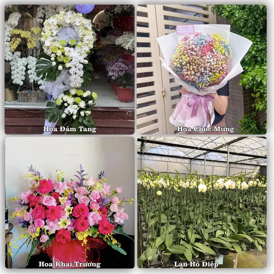 Đặt hoa giao tận nơi khu An Hải, Đà Nẵng
