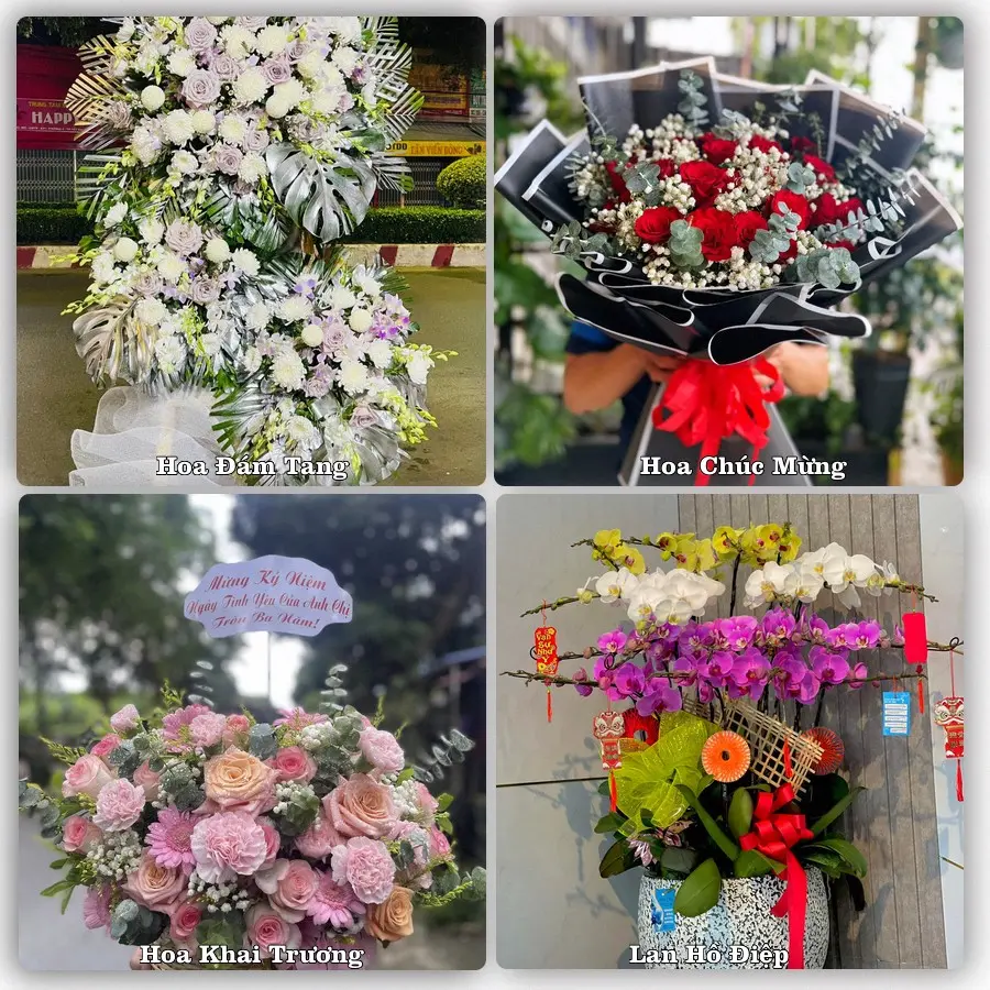 Mẫu hoa tươi giao tại An Hải, Đà Nẵng