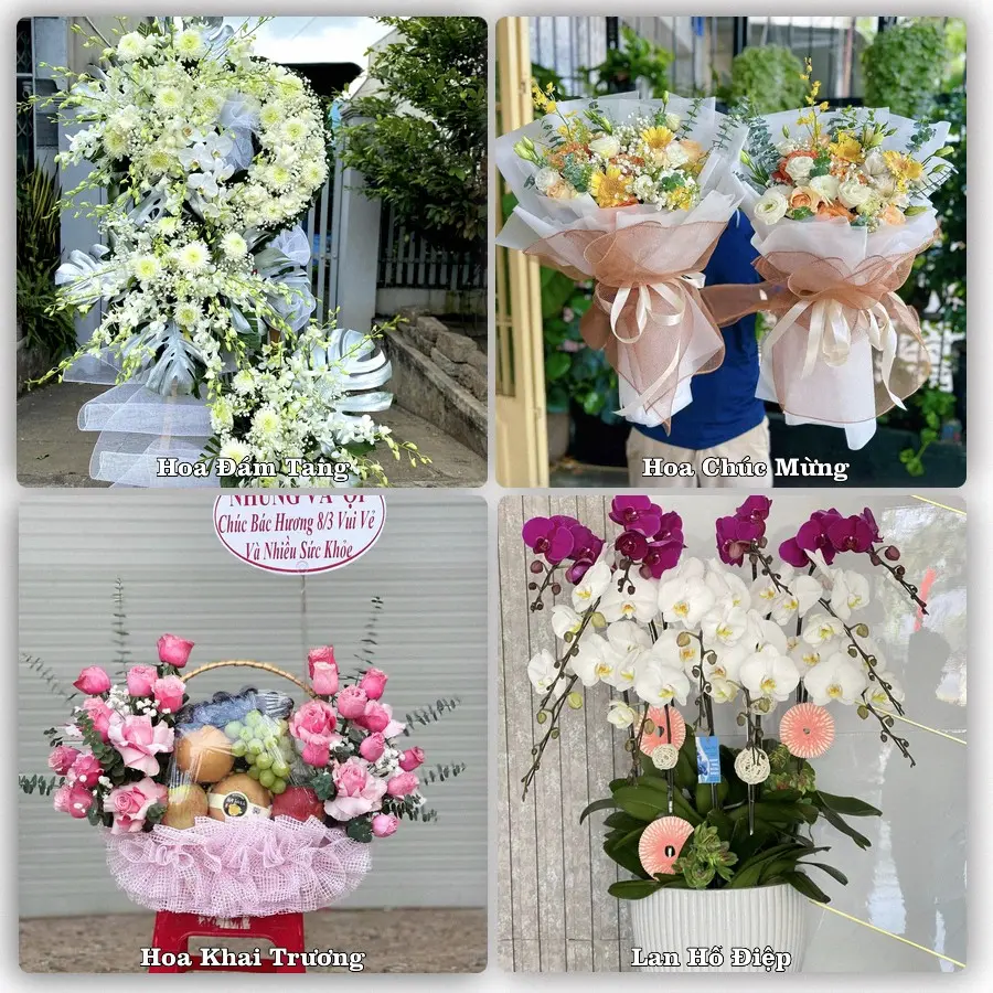 Đặt hoa giao tận nơi khu An Hải, Hải Phòng