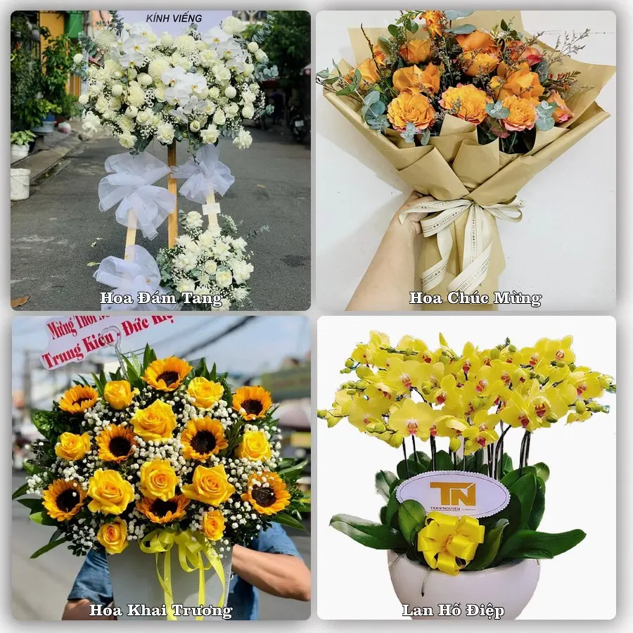Mẫu hoa tươi giao tại An Hải, Hải Phòng
