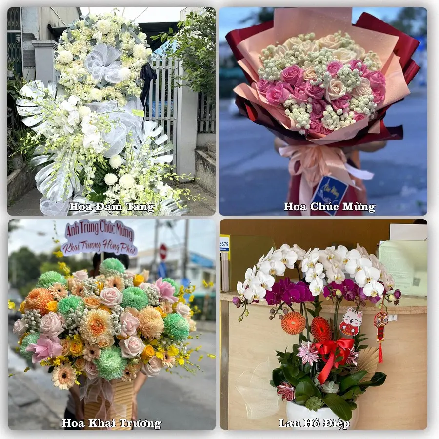 Mẫu hoa tươi giao tại An Khê, Đà Nẵng