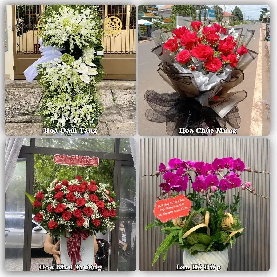 Shop hoa tươi An Nhơn – hoa sinh nhật, chúc mừng giao tận nơi Gò Vấp