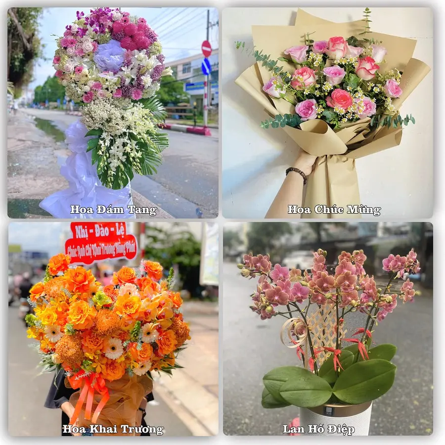 Mẫu hoa tươi giao tại An Phú Đông, Quận 12