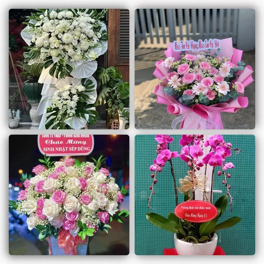 Mẫu hoa tươi tại An Thạnh