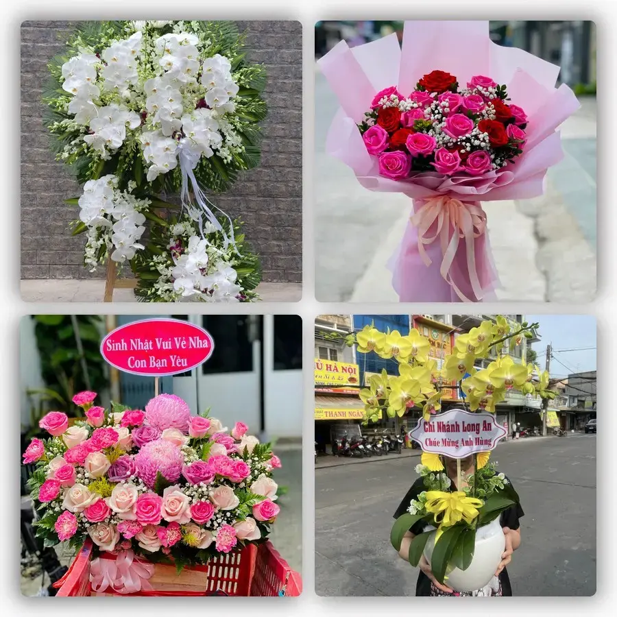 Mẫu hoa tươi tại Ba Chẽ