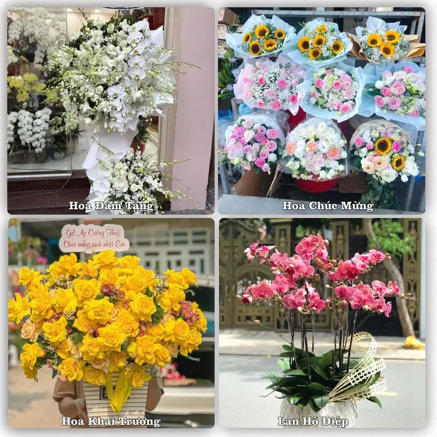 Shop hoa tươi Ba Đình, Hà Nội – đặt hoa theo dịp, giao tận nơi