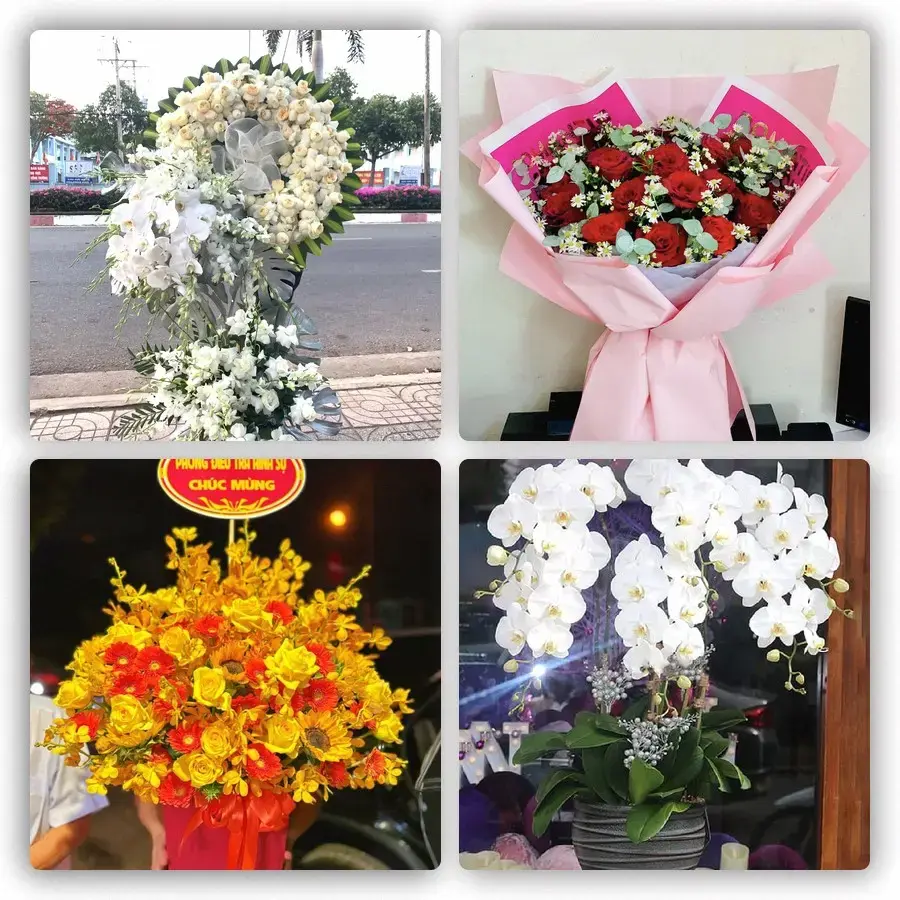 Mẫu hoa tươi tại Ba Đồn