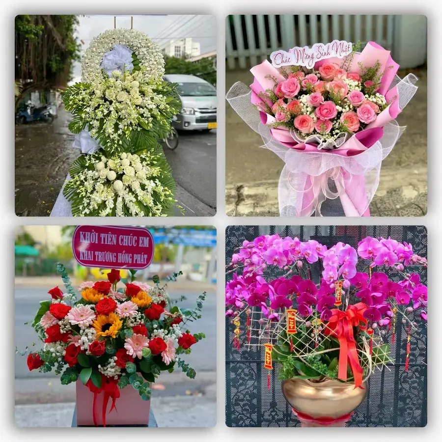 Mẫu hoa tươi tại Bắc Kạn