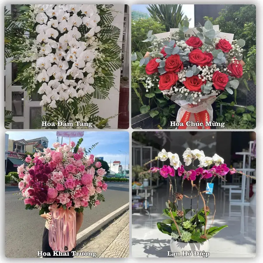 Shop hoa tươi Bạc Liêu – Giao tận nơi trong 2 giờ