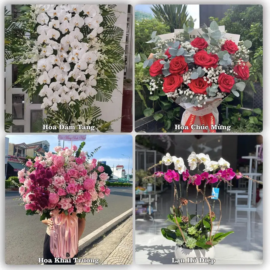 Mẫu hoa tươi dành cho khách đặt hoa tại Bạc Liêu