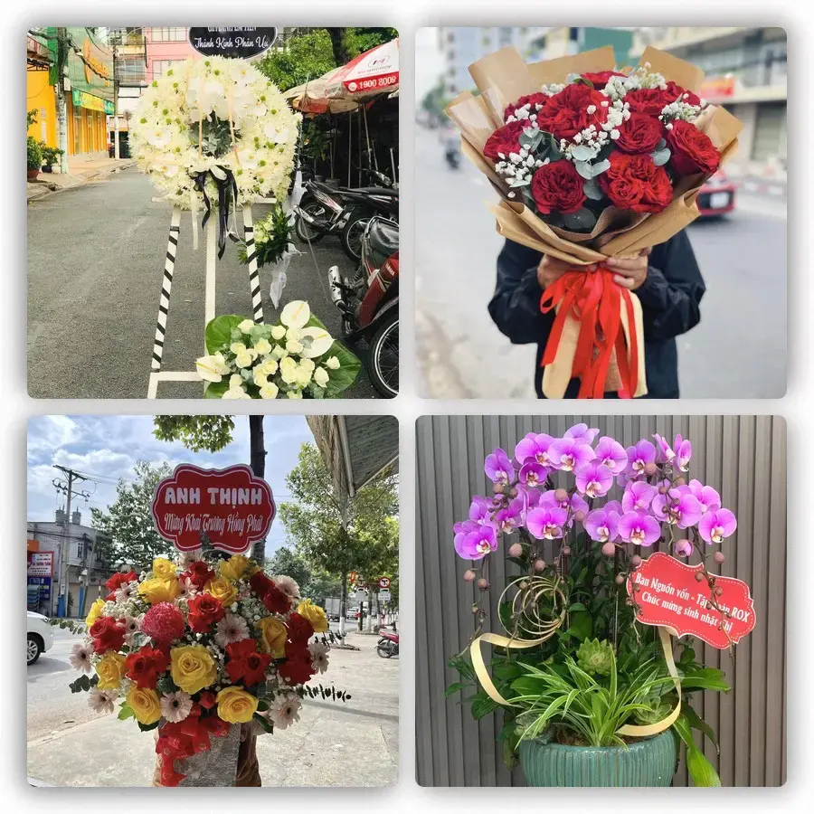 Mẫu hoa tươi tại Bắc Yên
