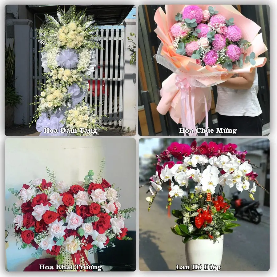 Mẫu hoa tươi giao tại Bến Thành, TP.HCM