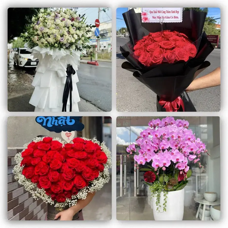 Mẫu hoa tươi tại Bến Tre