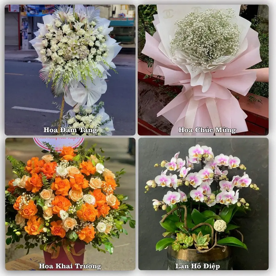 Đặt hoa giao tận nơi khu Bình Hưng Hòa, Bình Tân