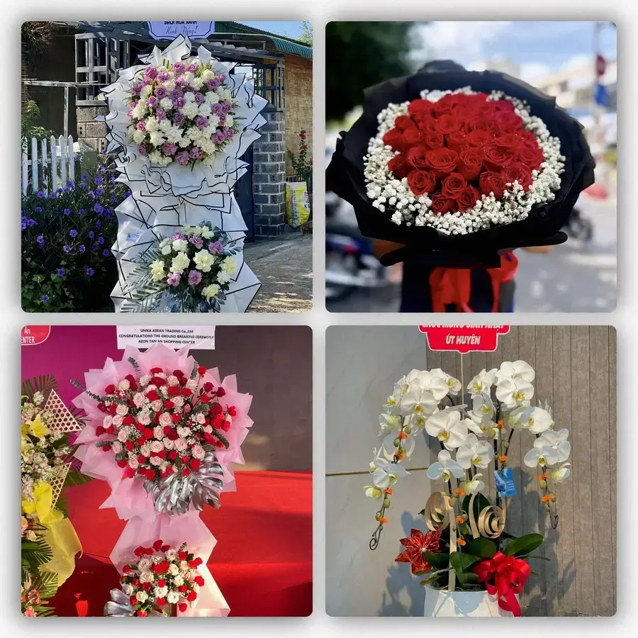 Mẫu hoa tươi tại Bình Minh